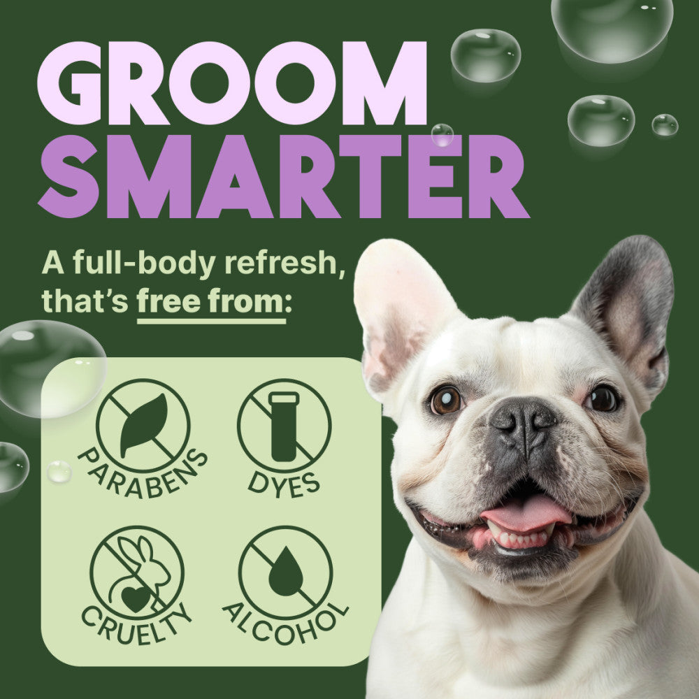 Sunsetting - TropiClean Kiwi Blossom Deodorizing Spray for Pets, 8oz