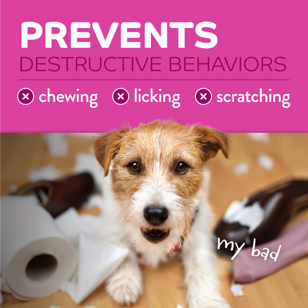 TropiClean Chew Stop Behavior Aid Dog & Home Spray, 8oz