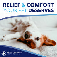 Sunsetting - TropiClean OxyMed Soothing Relief Wipes for Pets, 50ct