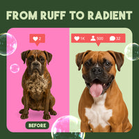 TropiClean Berry & Coconut Deep Cleansing Shampoo for Pets, 1 gal