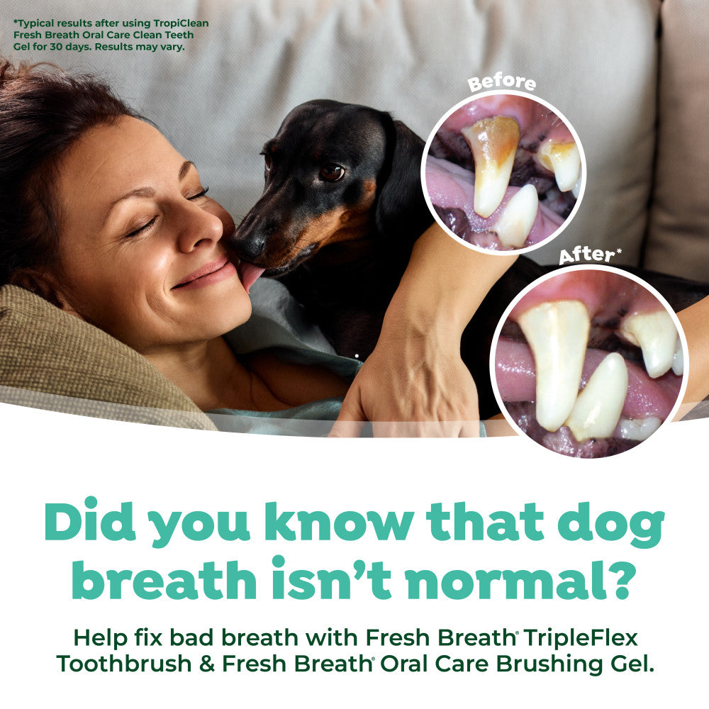 TropiClean Fresh Breath Triple Flex Toothbrush for Small and Medium Dogs