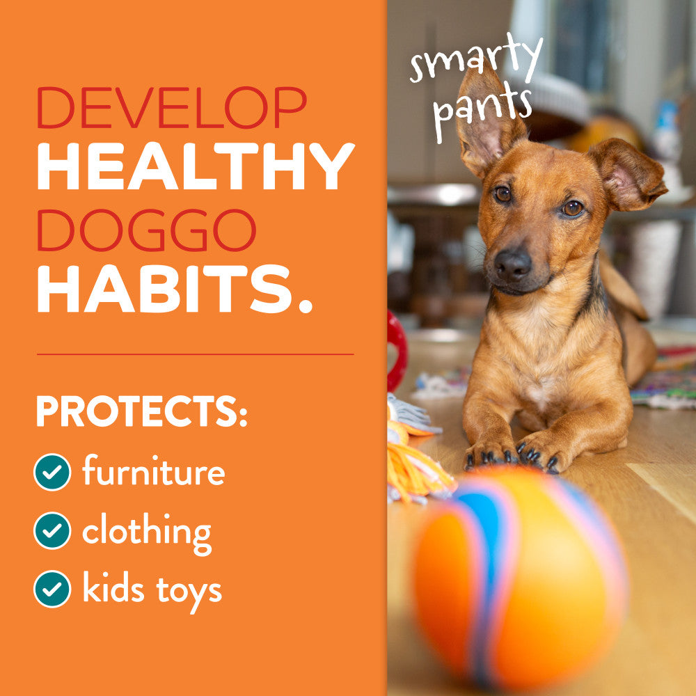 TropiClean Chew Stop Behavior Aid Home Spray, 8oz