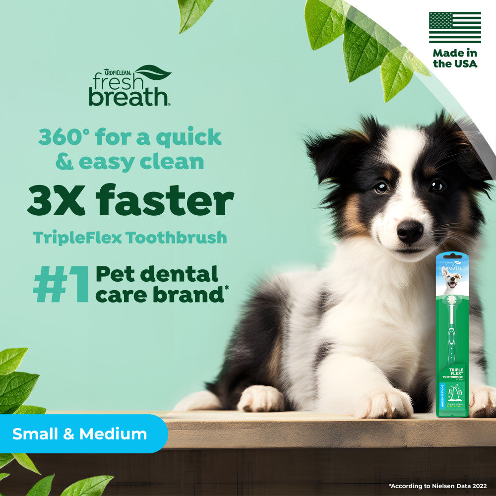 TropiClean Fresh Breath Triple Flex Toothbrush for Small and Medium Dogs