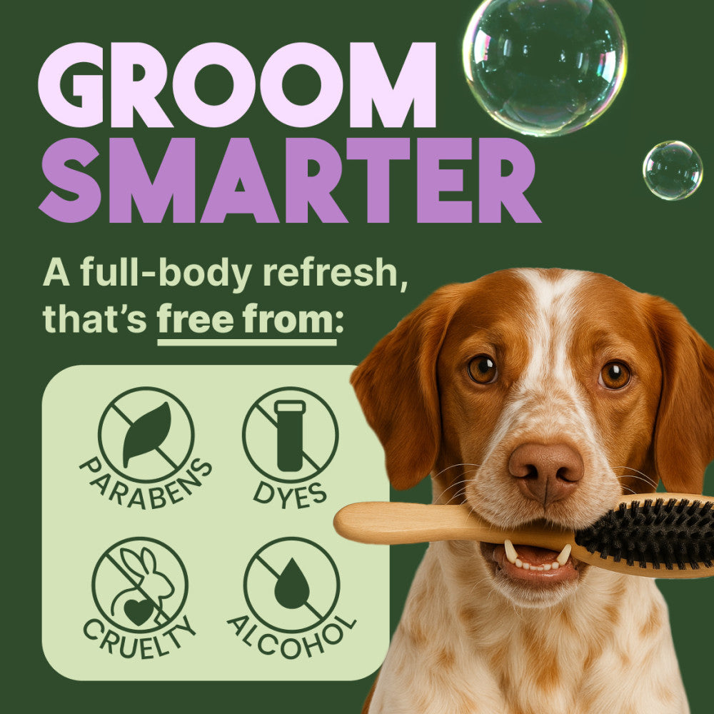 TropiClean Kiwi & Cocoa Butter Moisturizing Conditioner for Pets, 1 gal