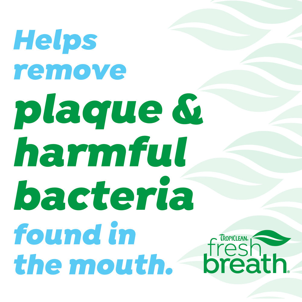 TropiClean Fresh Breath Odor & Tartar Control Dental Kit for Cats