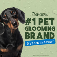 Sunsetting - TropiClean Lime & Coconut Deodorizing Spray for Pets, 8oz