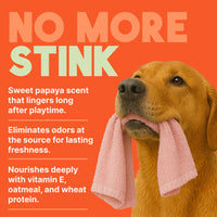 TropiClean Papaya Deodorizing Spray for Pets, 4oz