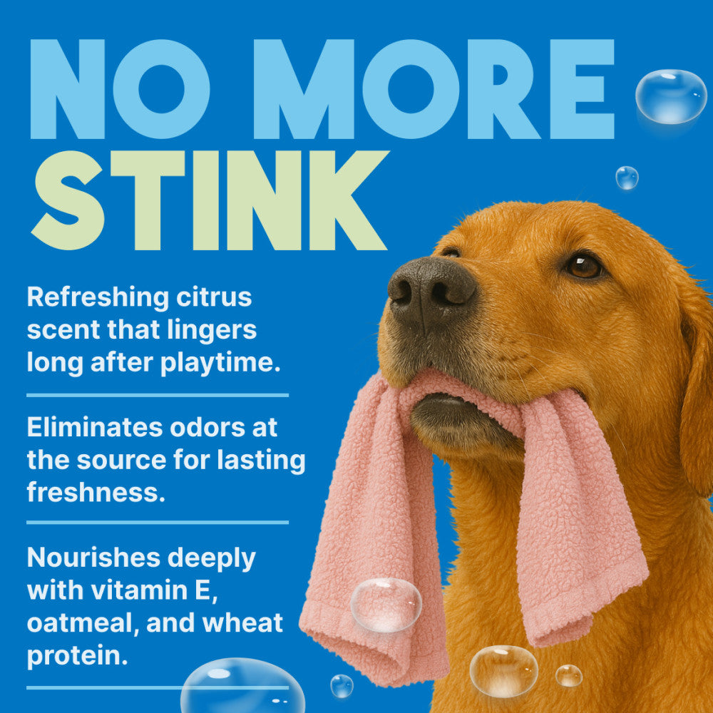 Sunsetting - TropiClean Lime & Coconut Deodorizing Spray for Pets, 8oz