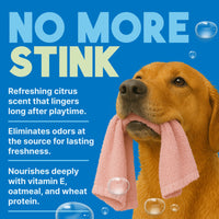 Sunsetting - TropiClean Lime & Coconut Deodorizing Spray for Pets, 8oz