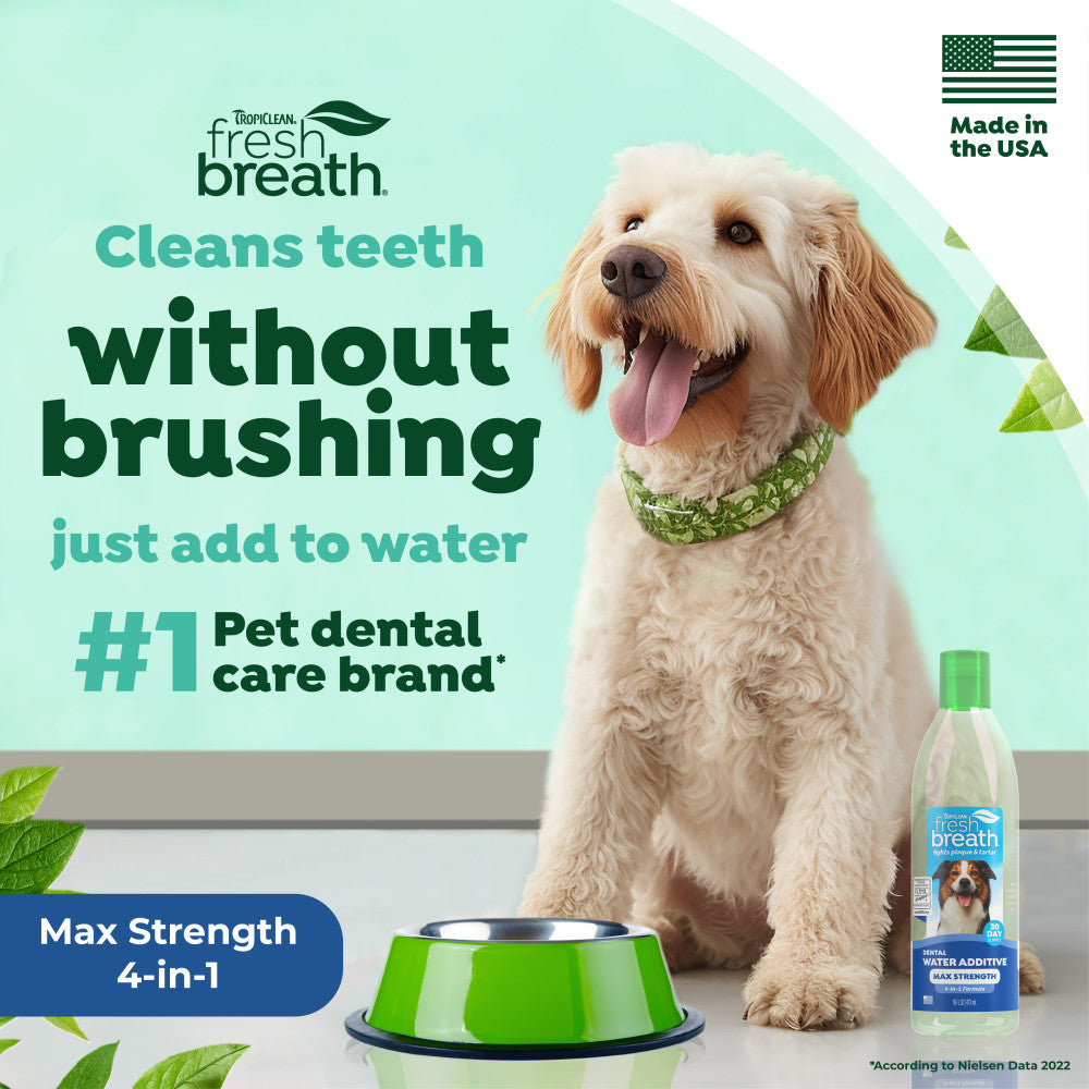 TropiClean Fresh Breath Max Strength Dental Water Additive for Dogs, 16oz