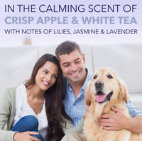 Sunsetting - SPA by TropiClean Lavish White Coat Shampoo for Pets, 1 gal