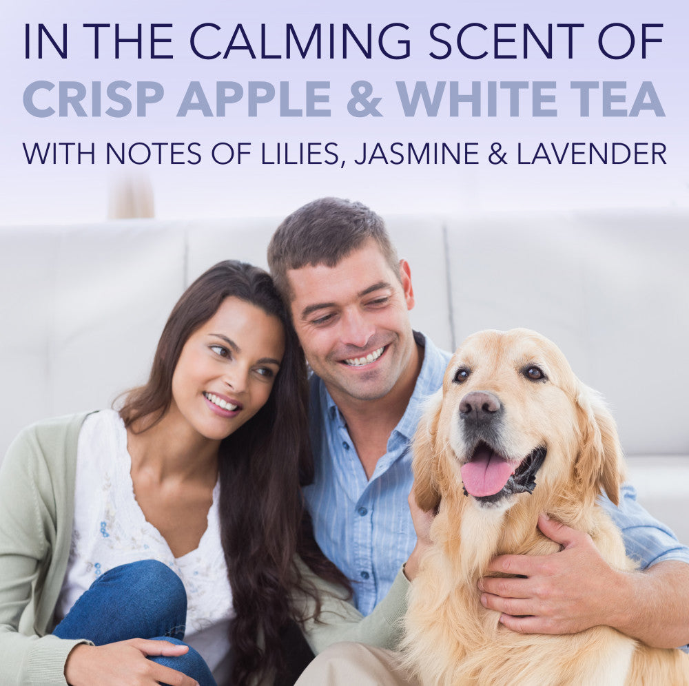 Sunsetting - SPA by TropiClean Lavish White Coat Shampoo for Pets, 1 gal