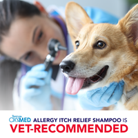 TropiClean OxyMed Allergy Itch Relief Shampoo, 20oz