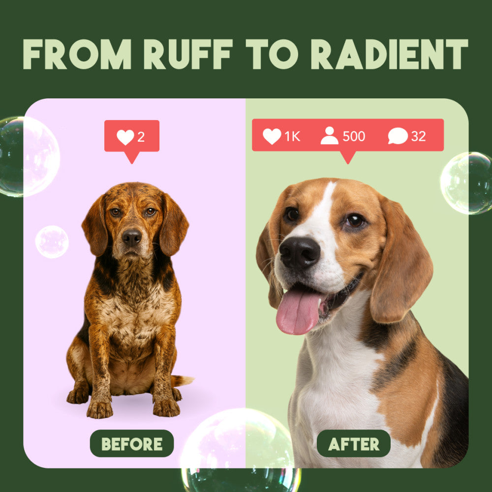 TropiClean Kiwi & Cocoa Butter Moisturizing Conditioner for Pets, 1 gal