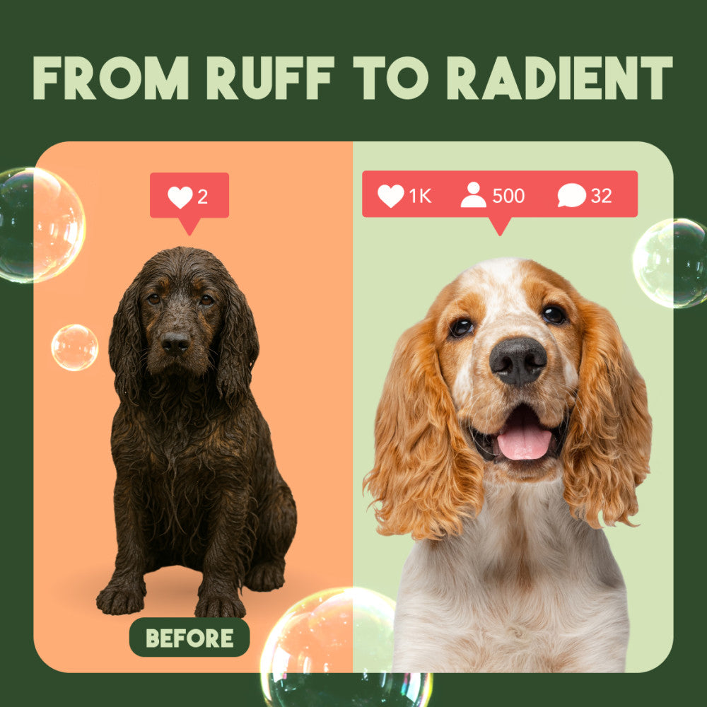 Sunsetting - TropiClean Neem & Citrus Flea & Tick Relief Shampoo for Dogs, 1 gal