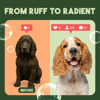 Sunsetting - TropiClean Neem & Citrus Flea & Tick Relief Shampoo for Dogs, 1 gal