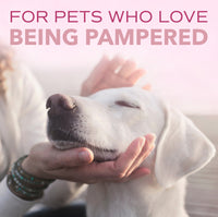 Sunsetting - SPA by TropiClean Lavish Pure Shampoo for Pets, 1 gal