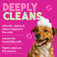 TropiClean Berry & Coconut Deep Cleansing Shampoo for Pets, 1 gal