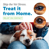 HomeVet Soothing Eye Wash, 4oz