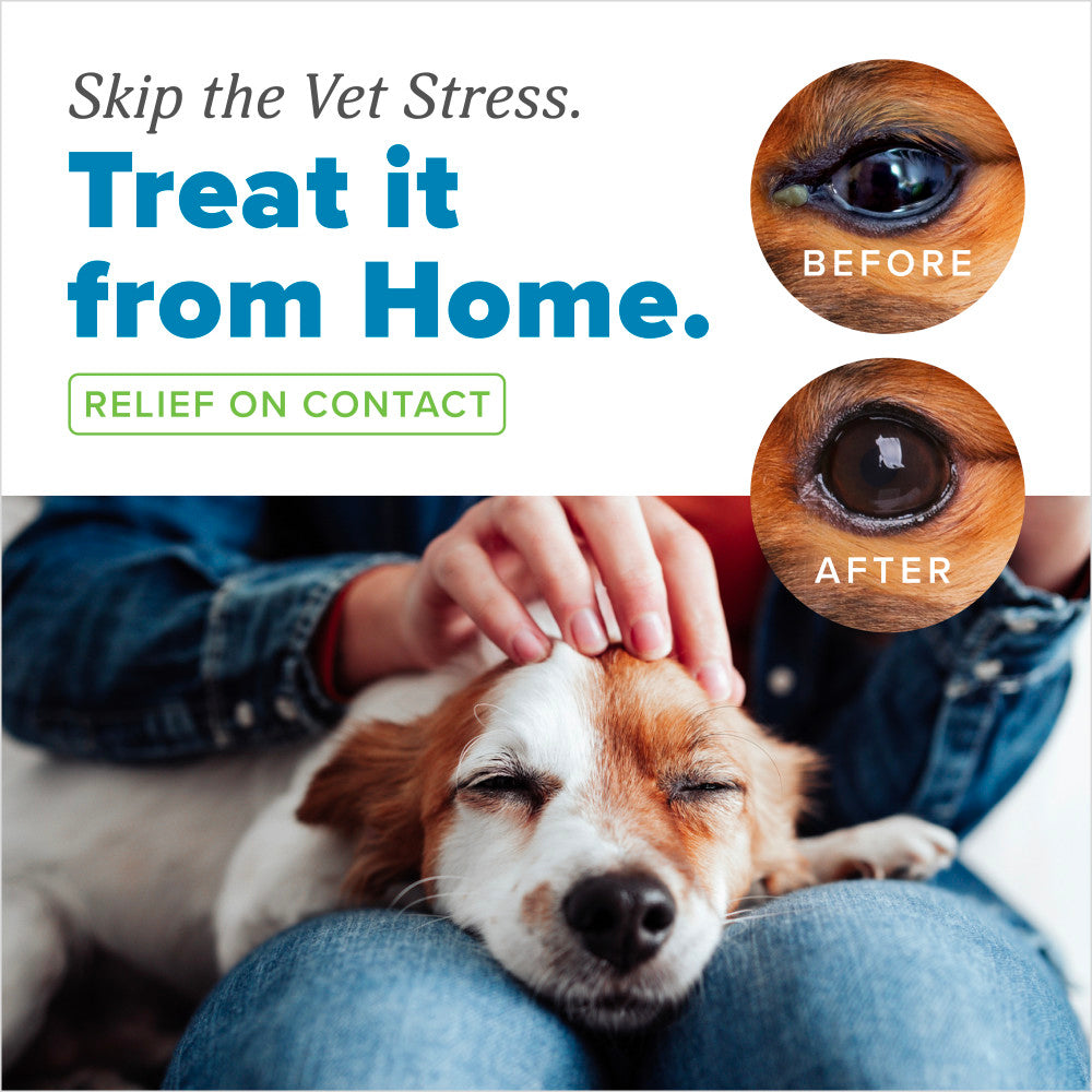 HomeVet Soothing Eye Wash, 4oz