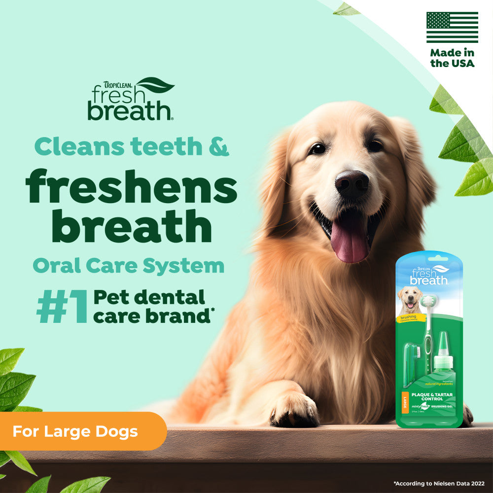 TropiClean Fresh Breath Plaque & Tartar Control Kit for Large Dogs